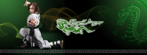 Design Graphique par UsagiRabbit pour Emerald Dragon Martial Arts Pty Ltd | Design : #27502338