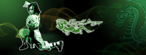 Design Graphique par UsagiRabbit pour Emerald Dragon Martial Arts Pty Ltd | Design : #27506714