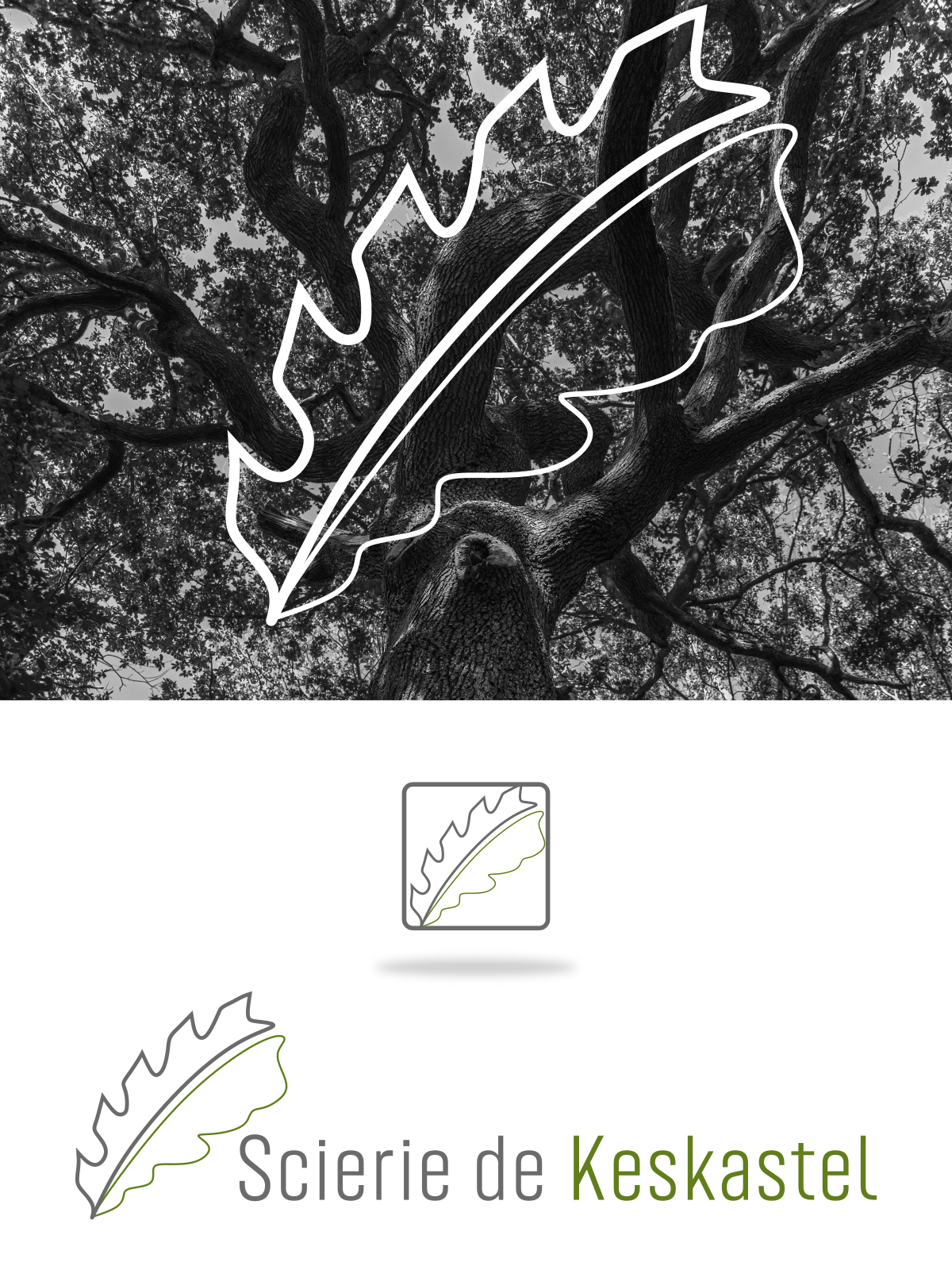 Logo-Design von design.bb für dieses Projekt | Design #27500849