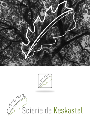 Logo-Design von design.bb für dieses Projekt | Design: #27500849