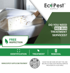 Flyer-Design von Brigitte Melissa B für dieses Projekt | Design: #27503107