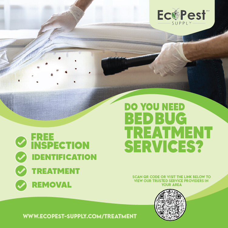 Diseño de Flyer por rntwicaksono para este proyecto | Diseño #27525538