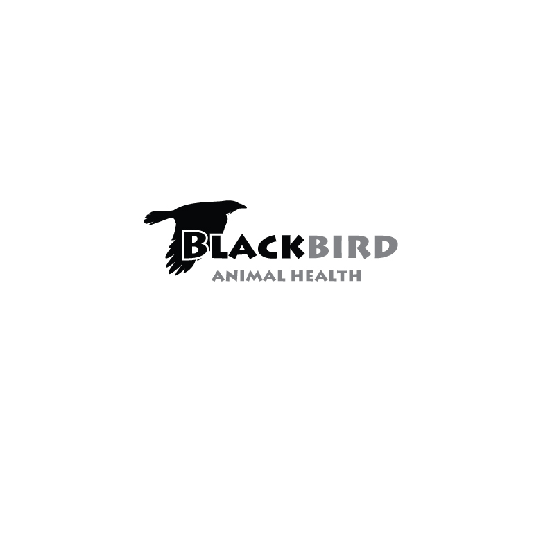 Logo Design by instudio for Blackbird Animal Health | Design #27501890