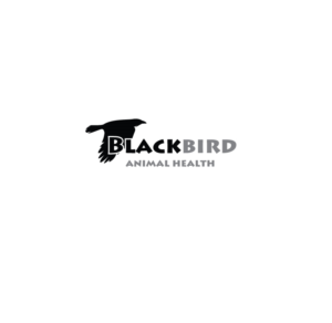 Logo Design by instudio for Blackbird Animal Health | Design: #27501890