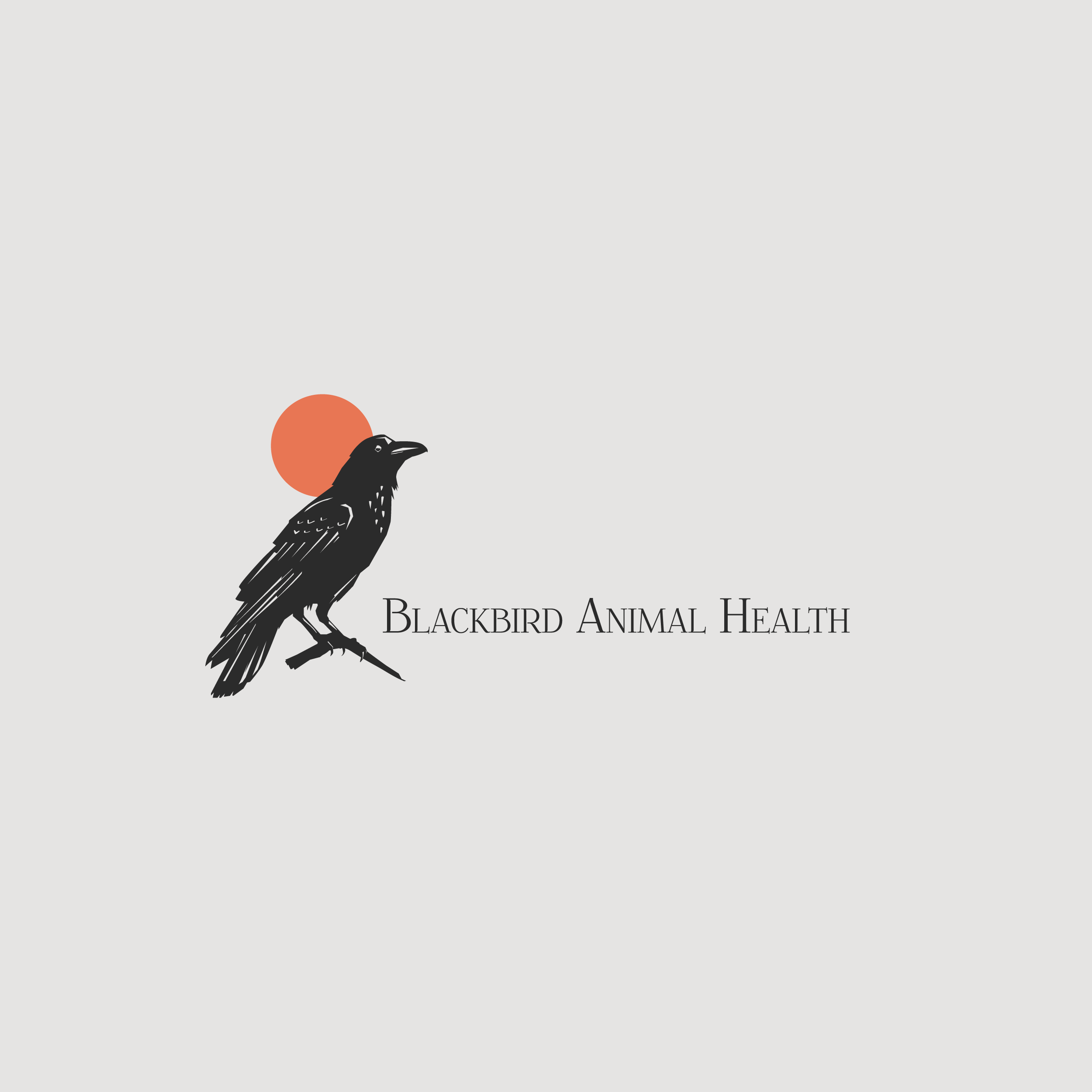 Design de Logo par karika pour Blackbird Animal Health | Design #27522901