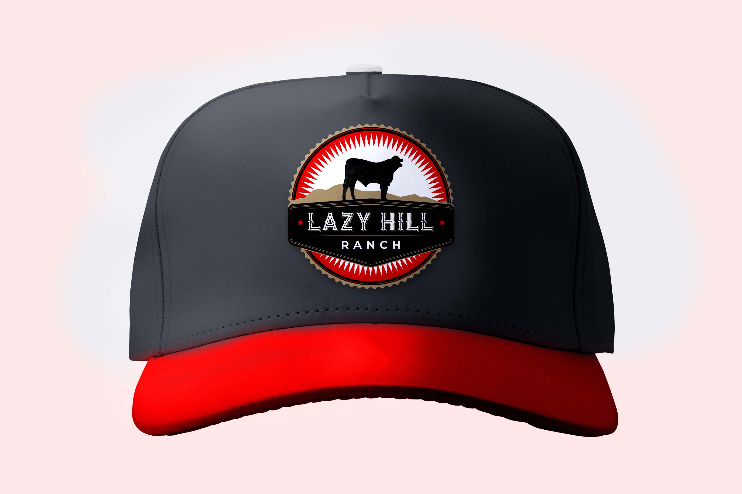 Diseño de Logo por Frauke 2 para este proyecto | Diseño #27502856