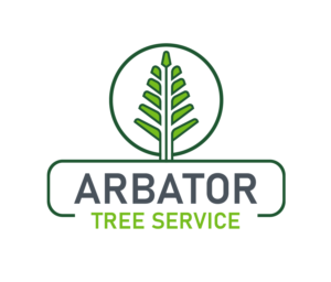 Logo Design by Idea Master Plus