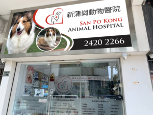 Signage Design by Imagine design000 for this project | Design: #27563694