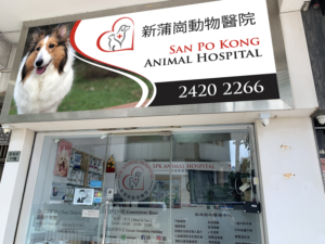 Signage Design by Imagine design000 for this project | Design: #27563695