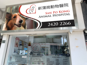 Signage Design by Imagine design000 for this project | Design: #27563696