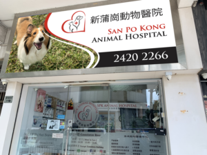 Signage Design by Imagine design000 for this project | Design: #27563697