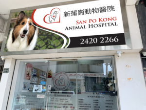 Signage Design by Imagine design000 for this project | Design: #27563698