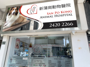 Signage Design by Imagine design000 for this project | Design: #27563704