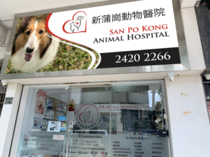 Signage Design by Imagine design000 for this project | Design: #27563705