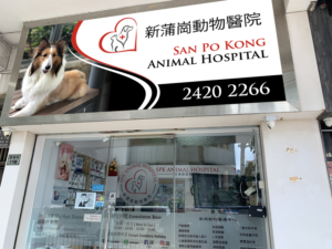 Signage Design by Imagine design000