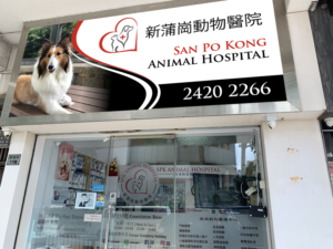 Signage Design by Imagine design000 for this project | Design: #27625336