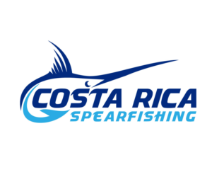 Logo Design by linkabrahambo