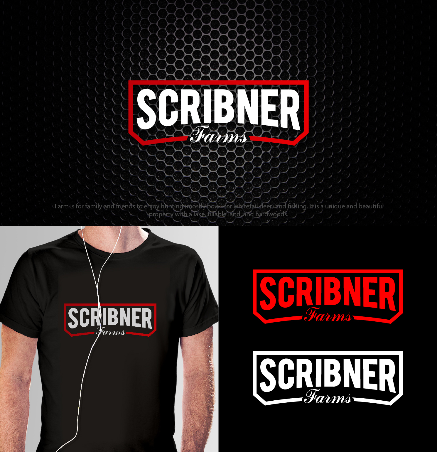 Logo-Design von 4tech services für dieses Projekt | Design #27524656