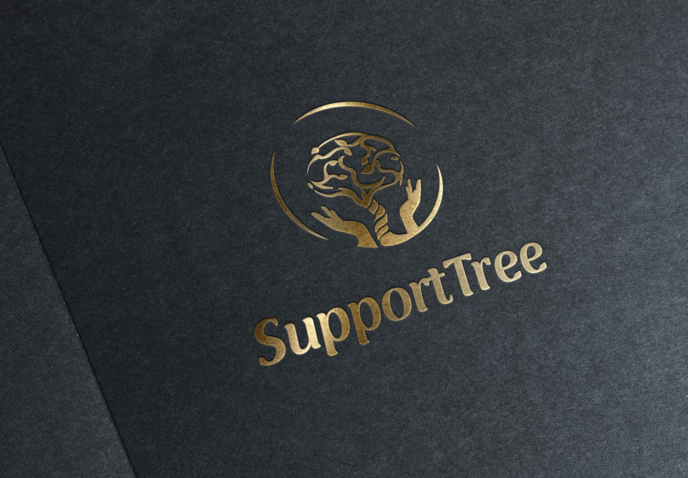 Logo Design by A.STUDIO for this project | Design #27550607