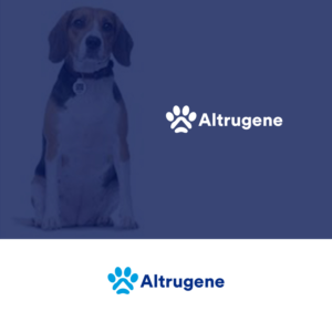 Logo Design by nzdesigners for this project | Design: #27533747