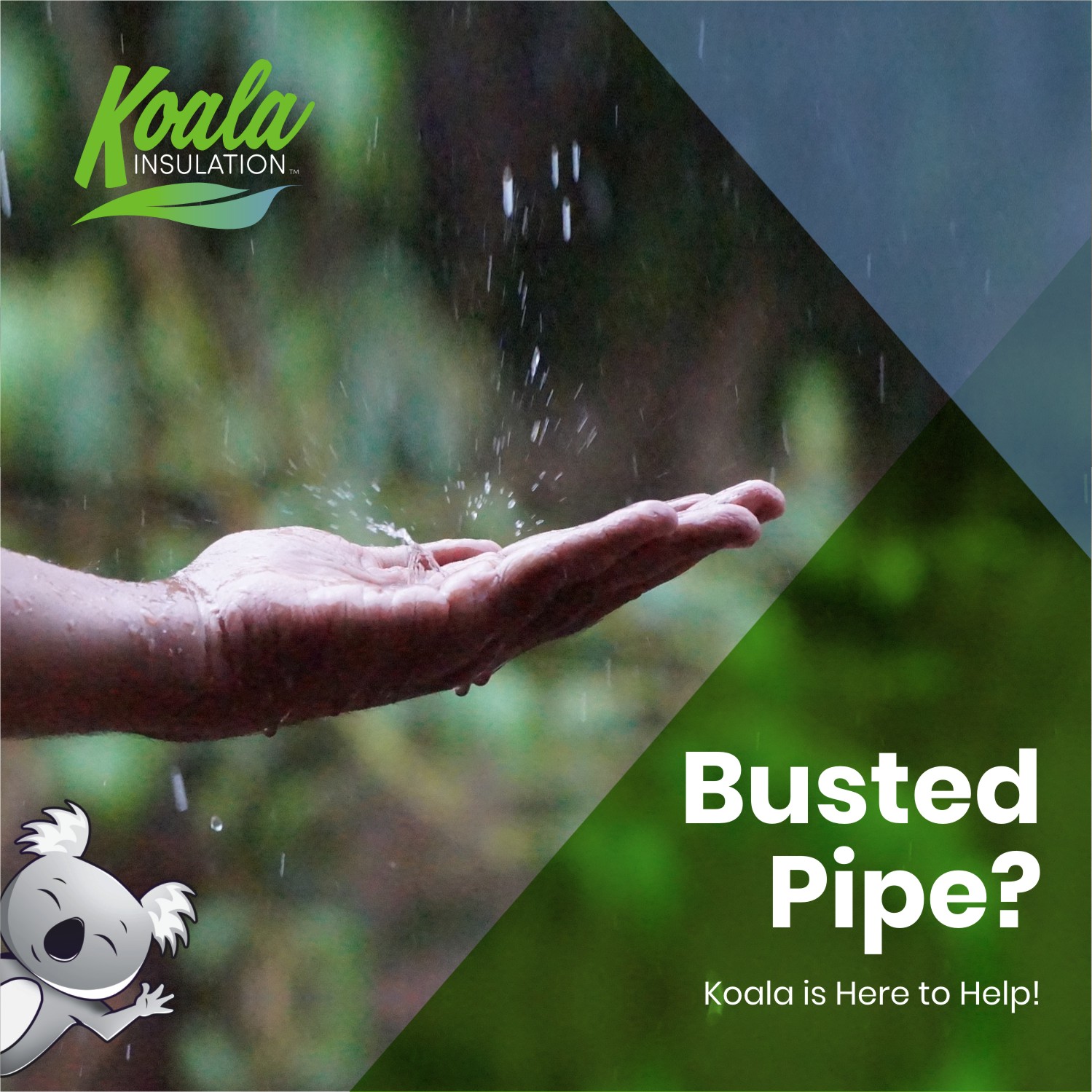 Design Graphique par INDIAN_Ashok pour Koala Insulation | Design #27531385