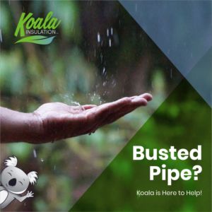 Graphic Design by INDIAN_Ashok for Koala Insulation | Design: #27531385