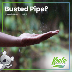 Graphic Design by INDIAN_Ashok for Koala Insulation | Design: #27531386