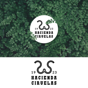 Logo Design by BMF Design