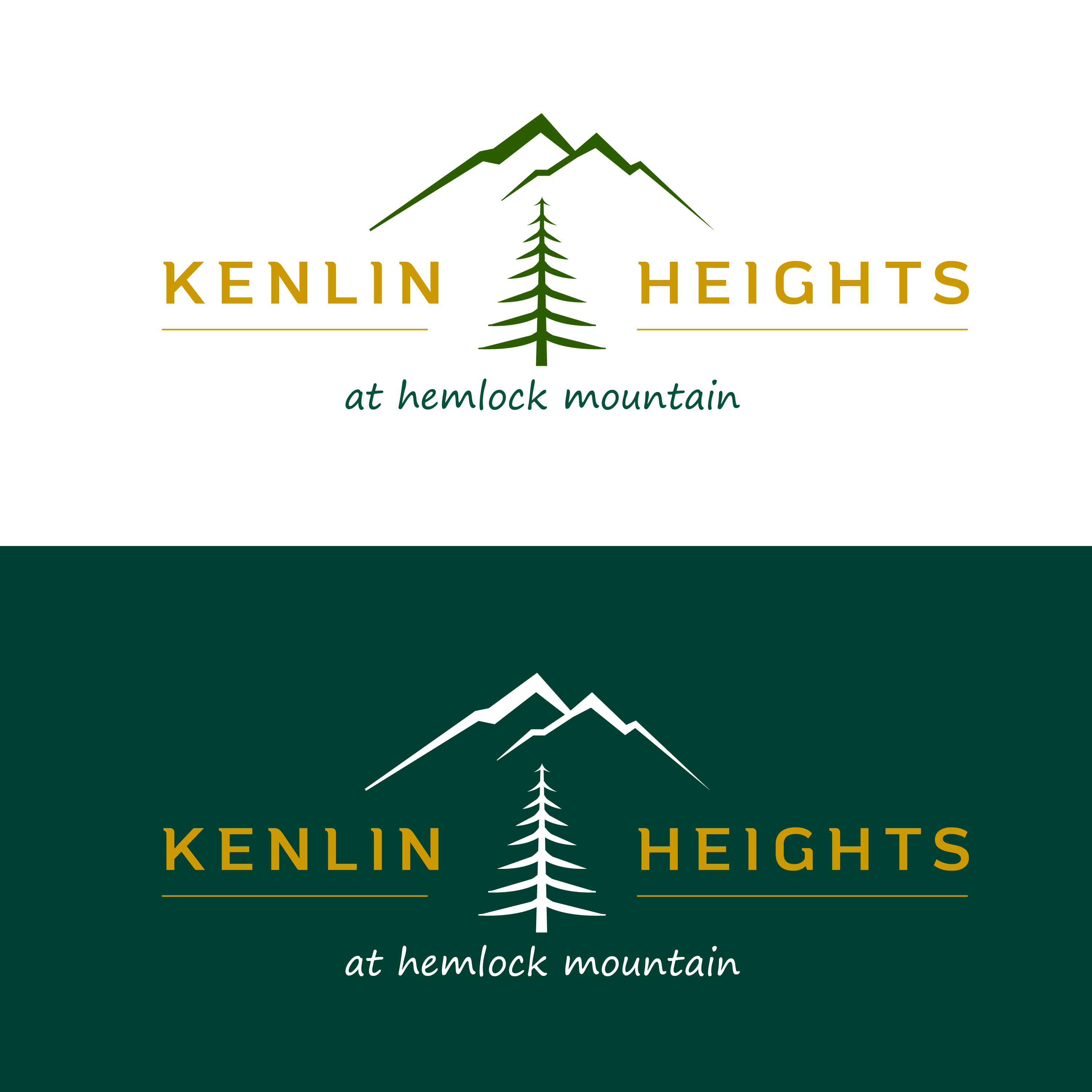 Logo-Design von Idea Master Plus für dieses Projekt | Design #27542670