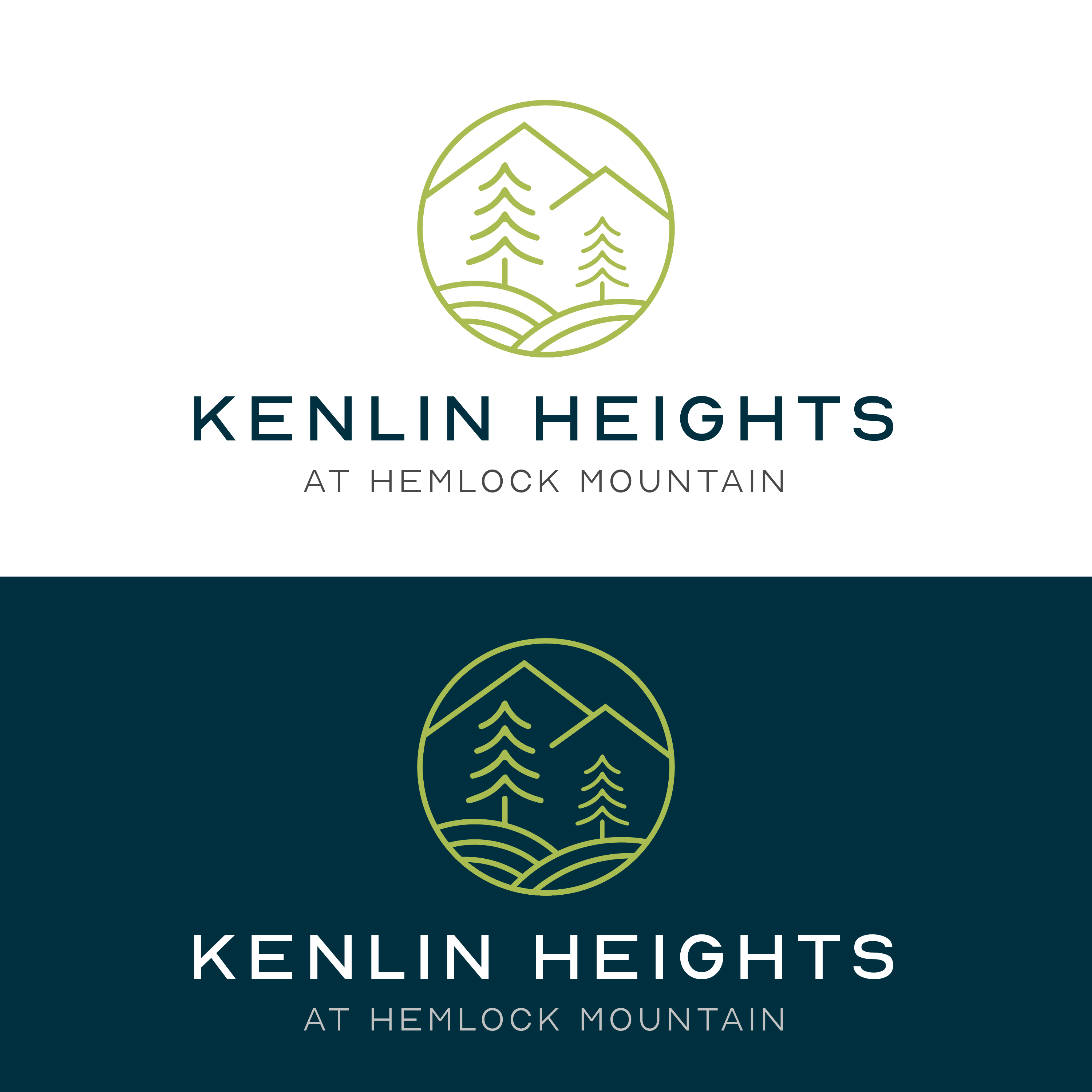 Logo-Design von Idea Master Plus für dieses Projekt | Design #27543201