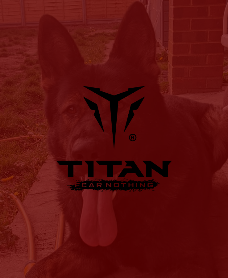 Logo Design by AFD for this project | Design #27539993