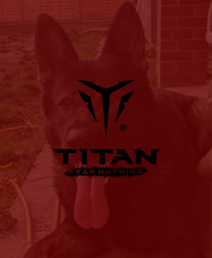 Logo Design by AFD for this project | Design: #27539993