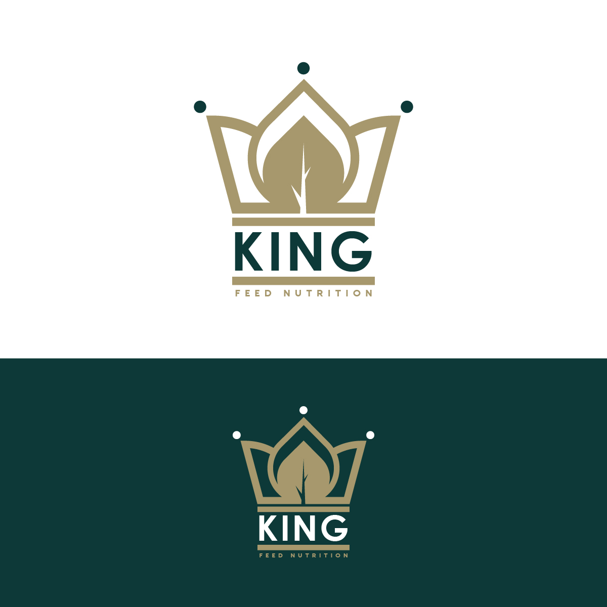 Logo Design by logoQ for this project | Design #27559811