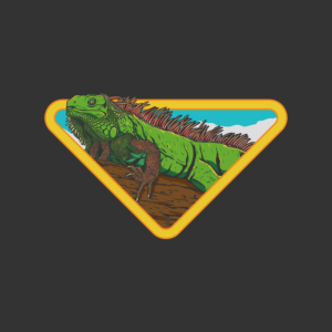 Logo Design by thedriftshop