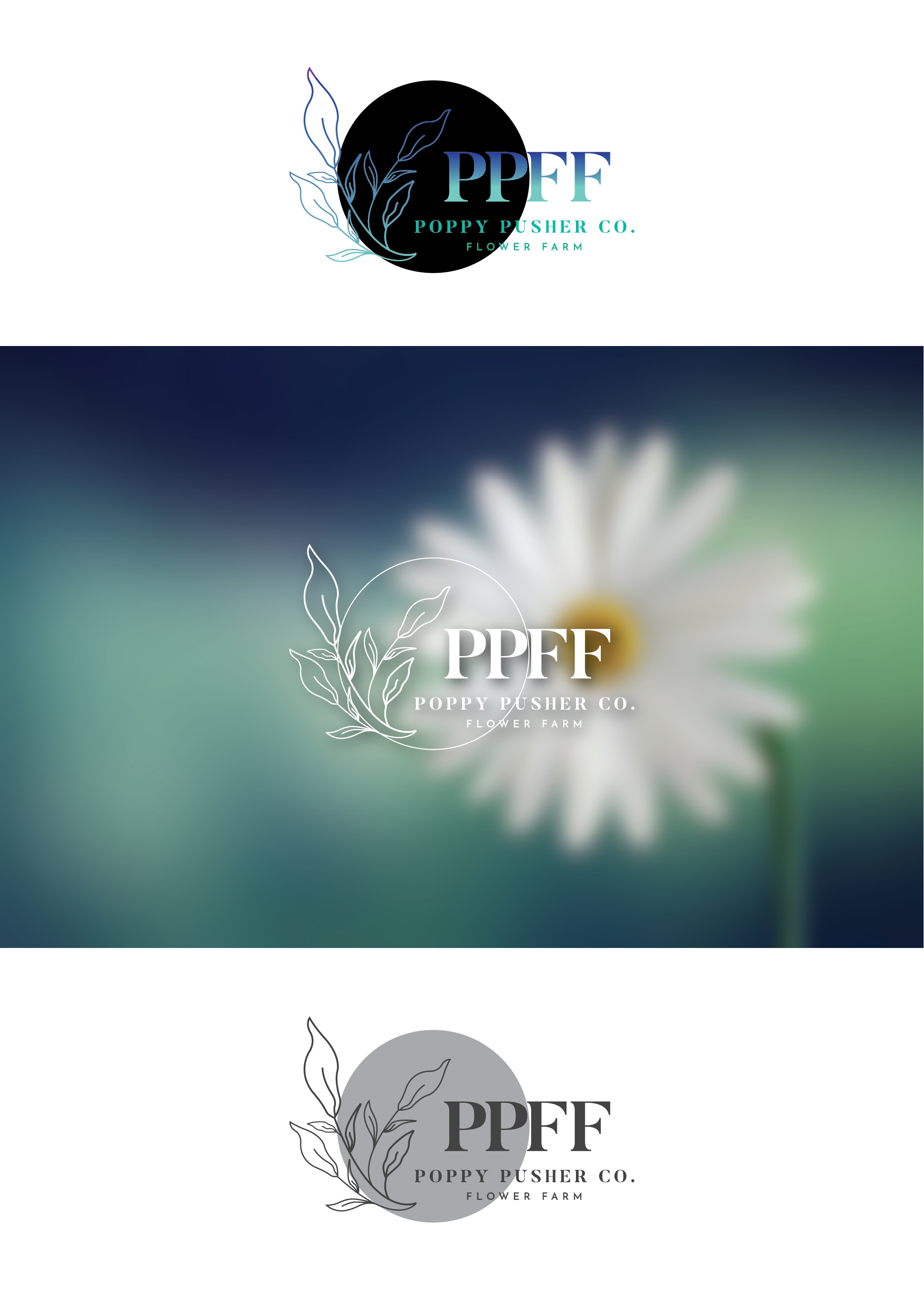Logo Design by 3Guys for this project | Design #27549518