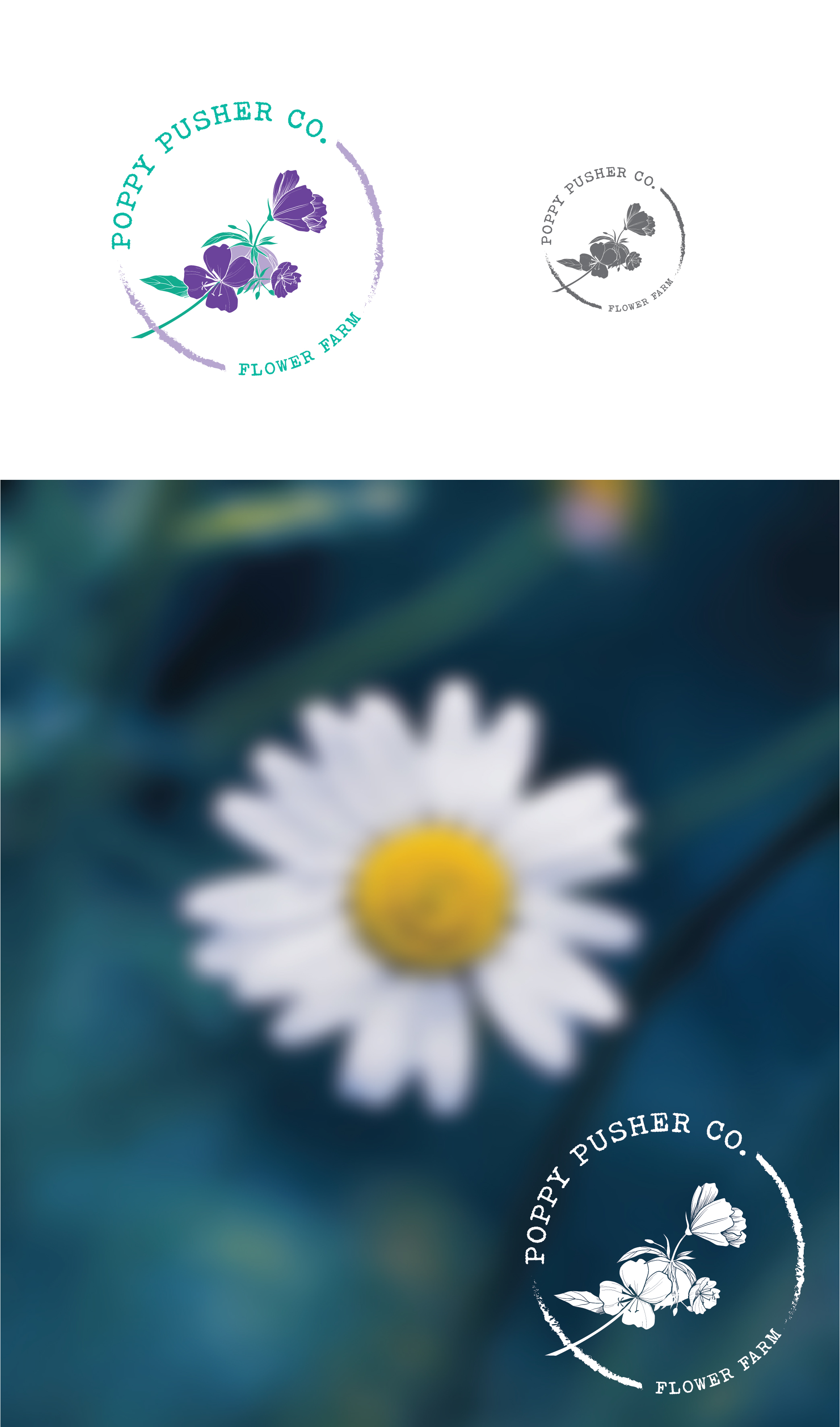 Logo Design by 3Guys for this project | Design #27549521