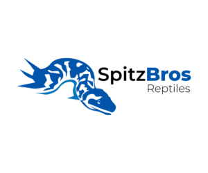 Logo Design by NatalieVaughn for this project | Design: #27608498