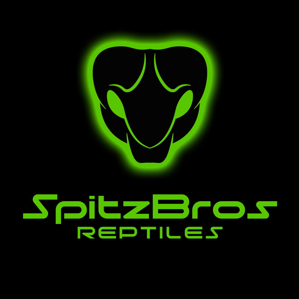 Logo Design by ILLUSTRATOR PRO for this project | Design #27551059