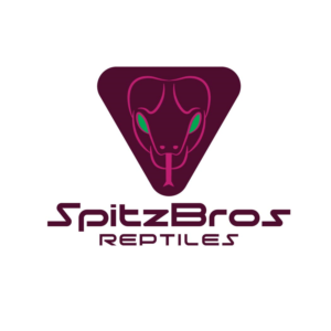 Logo Design by ILLUSTRATOR PRO for this project | Design: #27552925