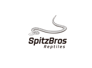 Logo Design by dhamkith for this project | Design: #27550510