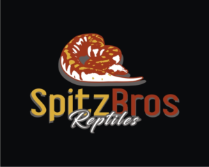 Diseño de Logo por Gito Kahana para este proyecto | Diseño: #27587498