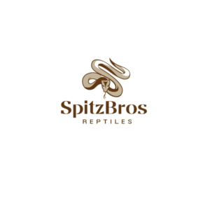 Logo Design by instudio for this project | Design: #27552597