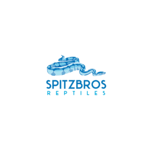 Logo Design by creativelogodesigner86 for this project | Design: #27550282