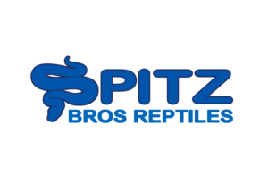Logo Design by louiemagno2005 for this project | Design: #27550777