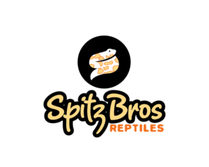Logo-Design von Th3o für dieses Projekt | Design: #27596294