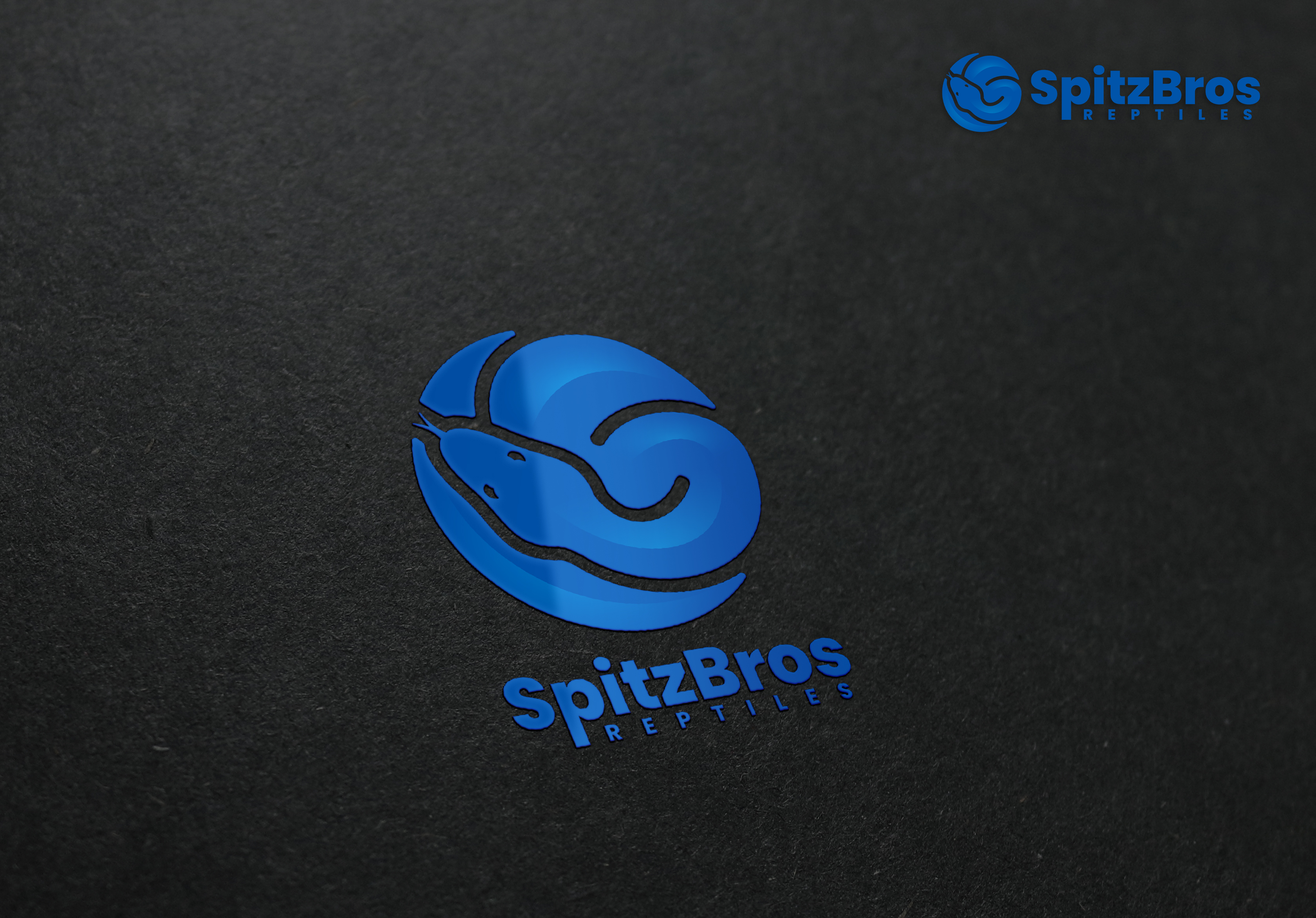 Logo Design by aquabomb26 for this project | Design #27550785
