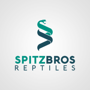 Logo Design by GRAFFYC for this project | Design: #27551825