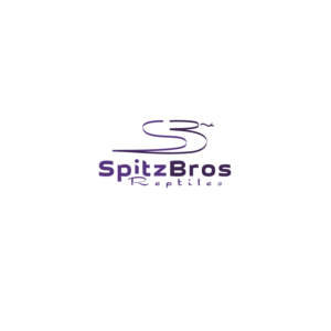 Logo Design by NK-graphicdesigner for this project | Design: #27557142