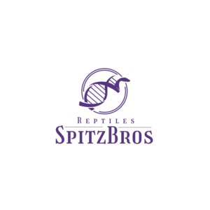 Logo Design by NK-graphicdesigner for this project | Design: #27571539