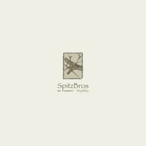 Logo Design by Jburtonux for this project | Design: #27563789